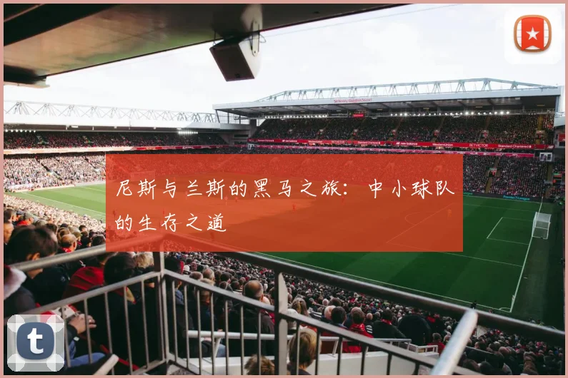 尼斯与兰斯的黑马之旅：中小球队的生存之道