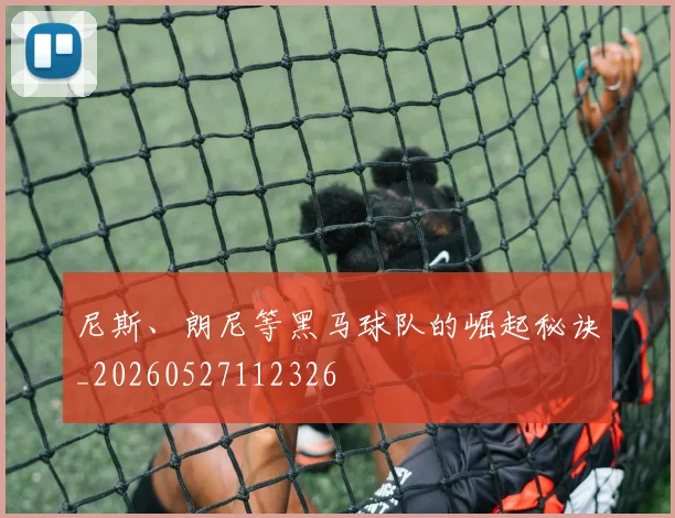 尼斯、朗尼等黑马球队的崛起秘诀_20260527112326