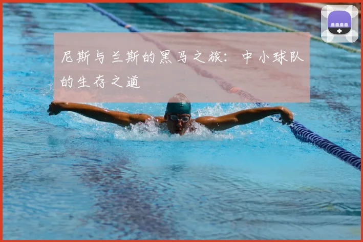 尼斯与兰斯的黑马之旅：中小球队的生存之道
