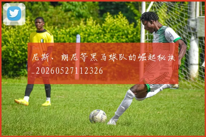 尼斯、朗尼等黑马球队的崛起秘诀_20260527112326